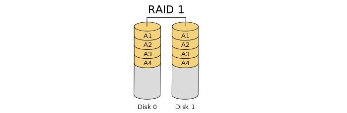 raid 1